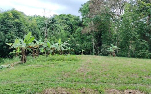 Build Your Dream Property Near Pavones Surf Beaches