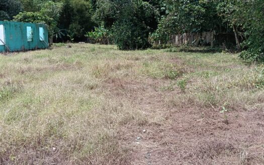 Flat property located between Rio Claro and Golfito