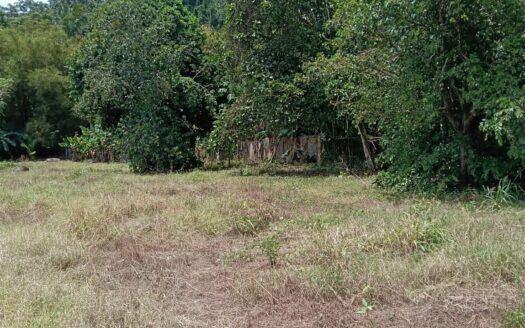 Flat property located between Rio Claro and Golfito