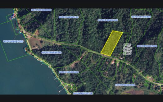 DREAM PROPERTY IN GOLFITO! FARM WITH OCEAN VIEWS & PRIVATE WATER SOURCE